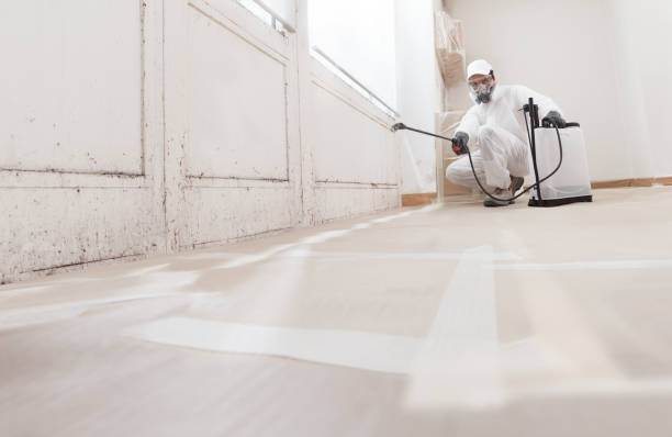 Trusted Mold Inspection service in Edgewater, NJ - WQB Mold Removal