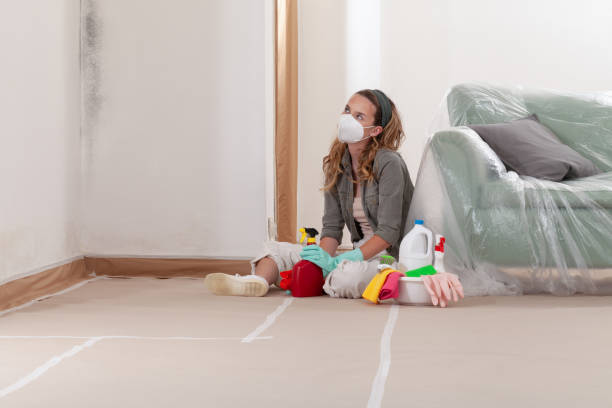 Reliable Mold Inspection contractor in Edgewater, NJ by WQB Mold Removal